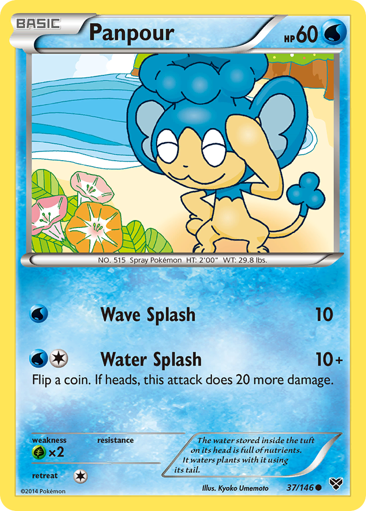 Panpour - XY SET-37