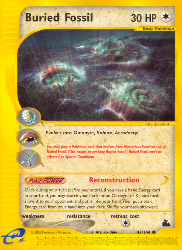 Buried Fossil - Skyridge SET-47