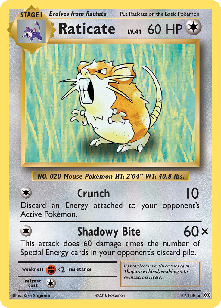 Raticate - Evolutions SET-67