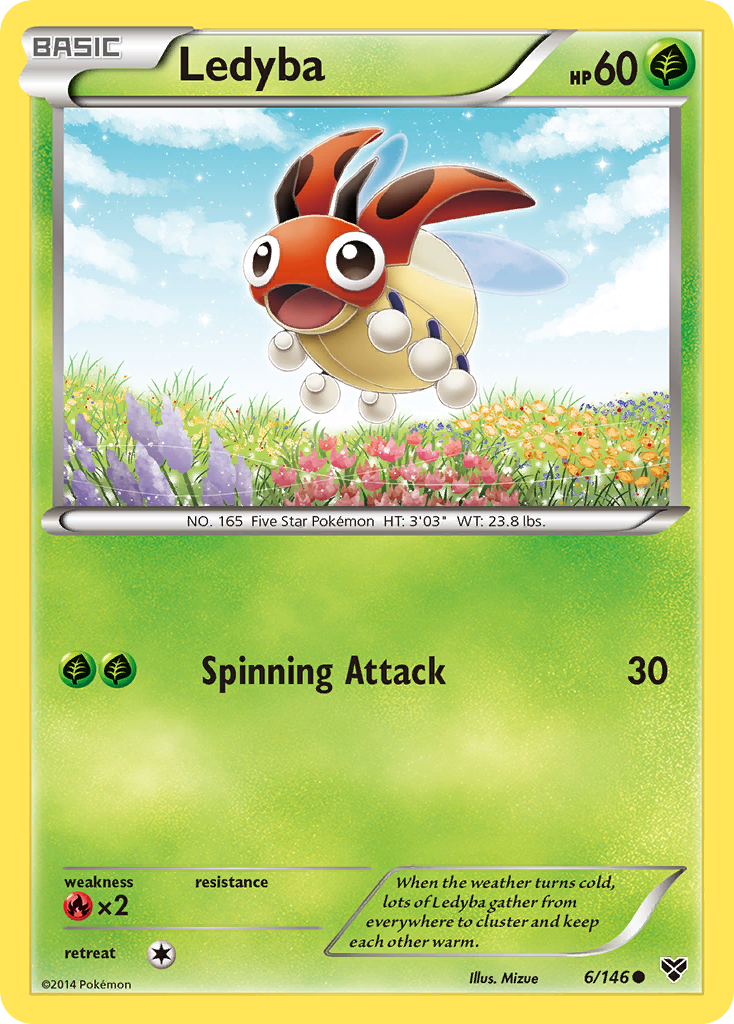 Ledyba - XY SET-6