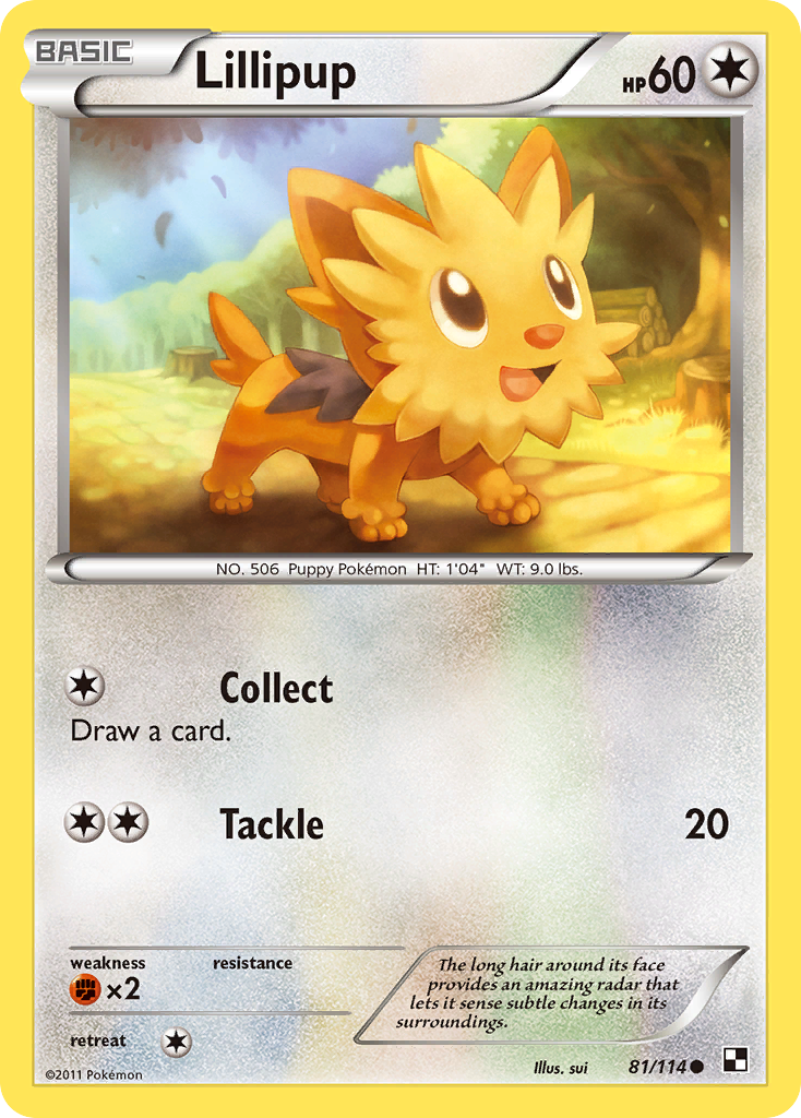 Lillipup - Black & White SET-81