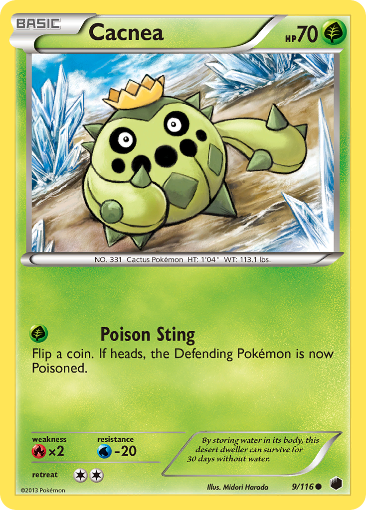 Cacnea - Plasma Freeze SET-9