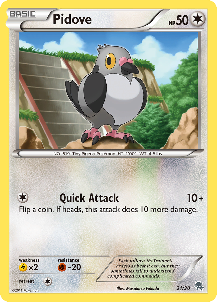 Pidove Black & White Trainer Kit—Zoroark SET-21