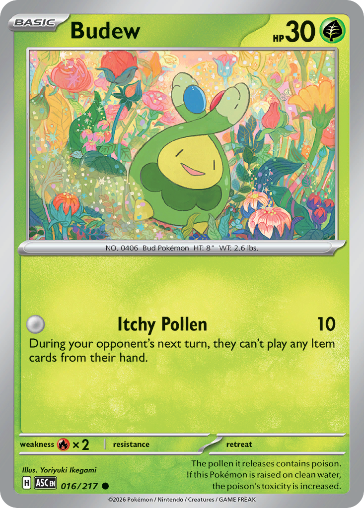Budew - Ascended Heroes SET-16