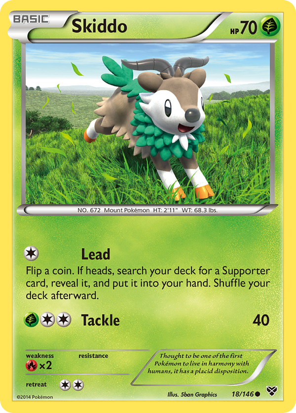 Skiddo - XY SET-18