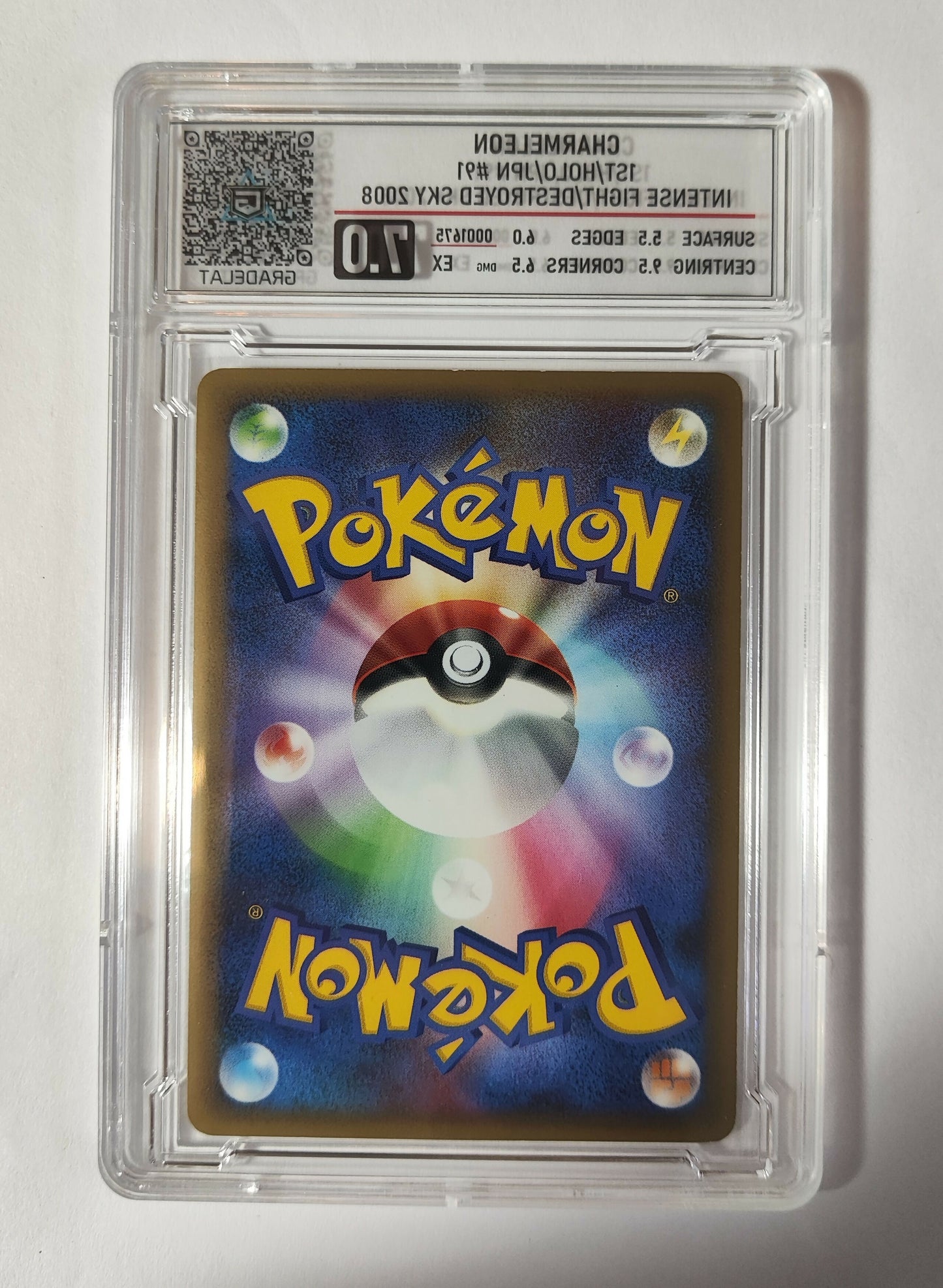 7 (8)