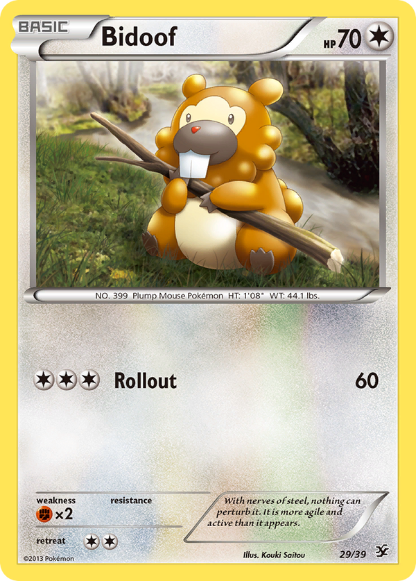 Bidoof - Kalos Starter Set SET-29