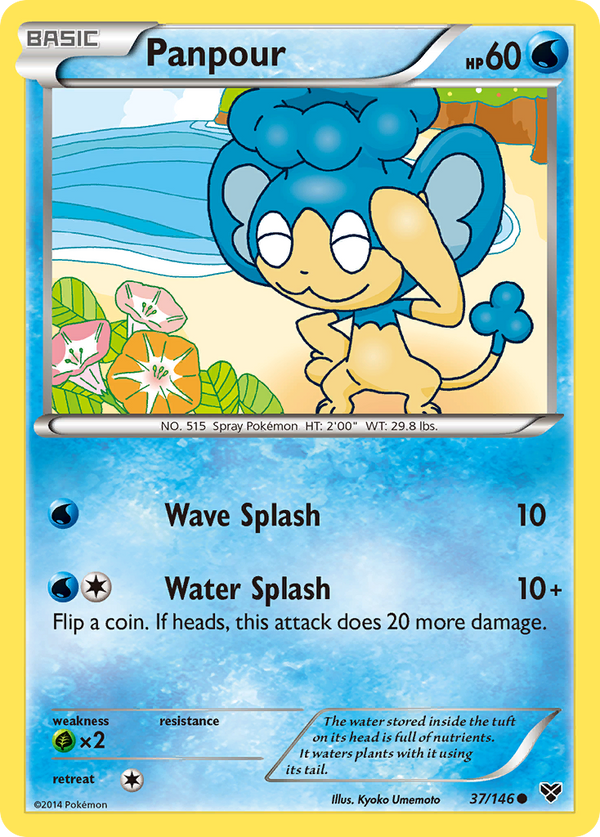 Panpour - XY SET-37