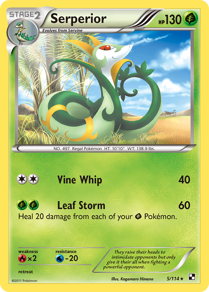 Serperior - Black & White SET-5
