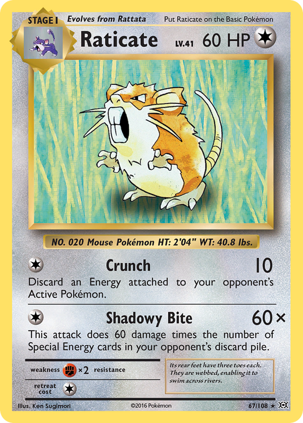 Raticate - Evolutions SET-67