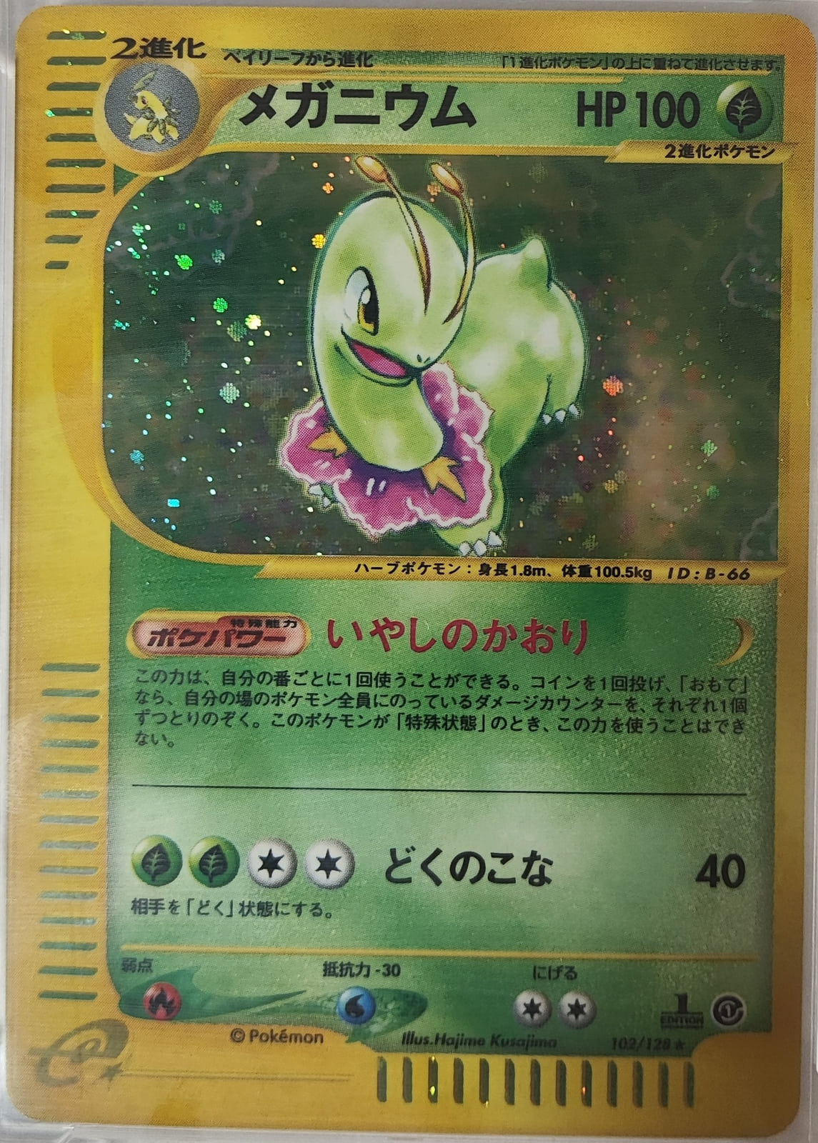 Meganium 1st Ed. - Expedition Expansion Pack 2001 - #102