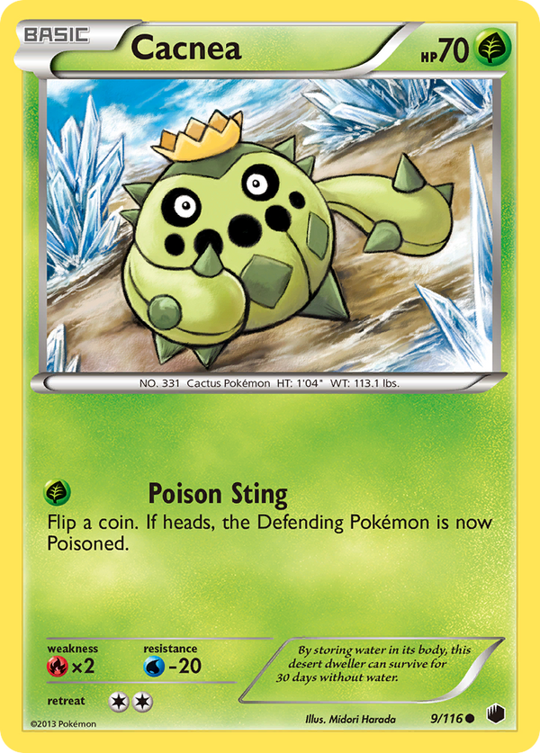Cacnea - Plasma Freeze SET-9