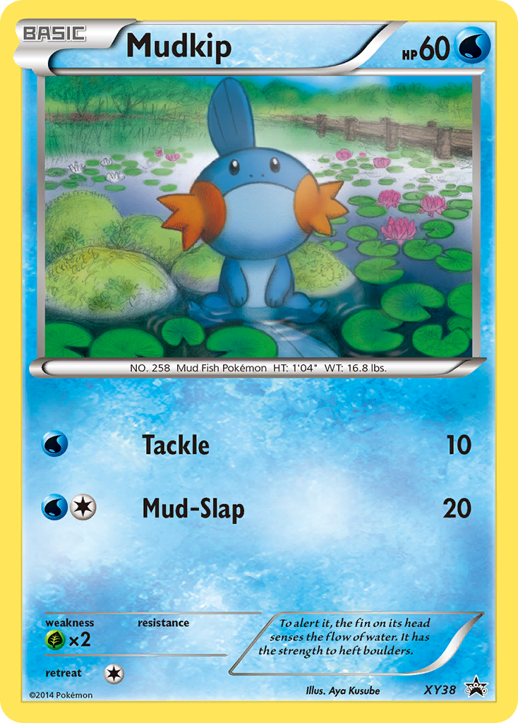 Mudkip - XY Black Star Promos SET-XY38