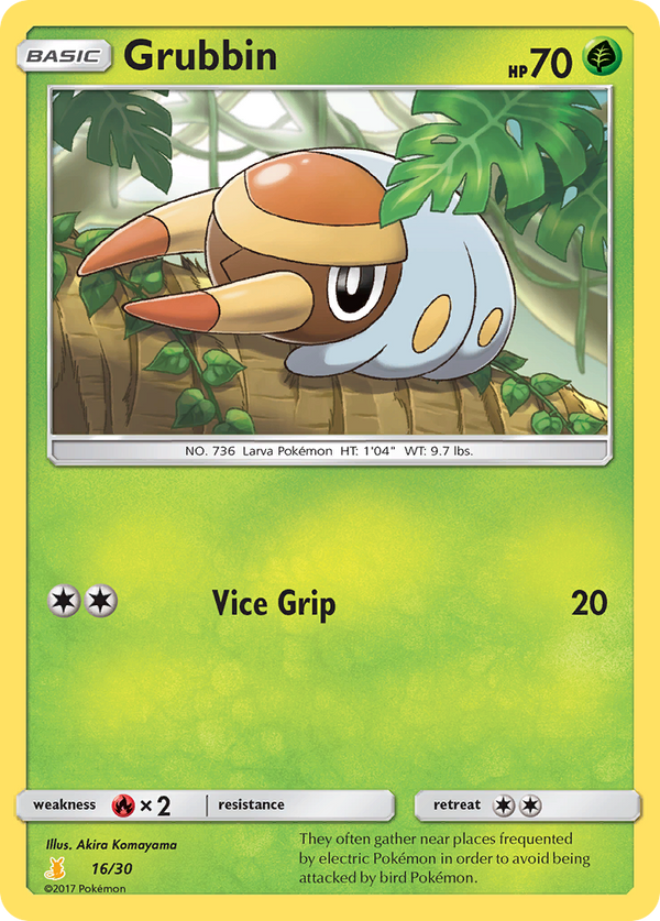 Grubbin Sun & Moon Trainer Kit—Alolan Raichu SET-16