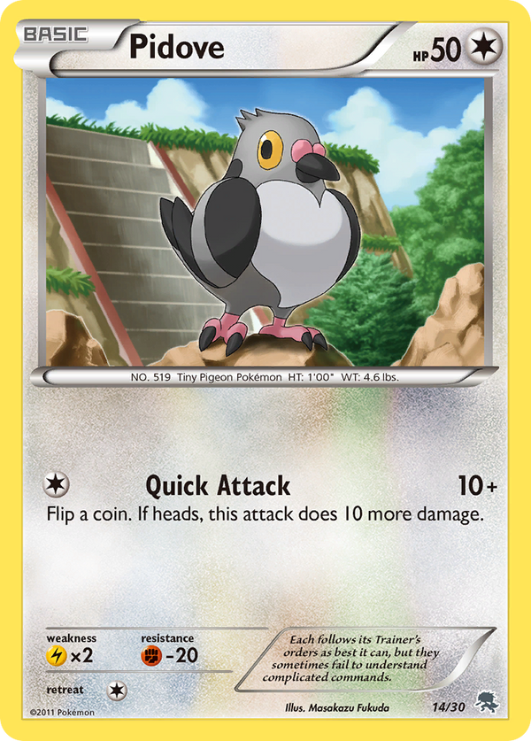Pidove Black & White Trainer Kit—Zoroark SET-14