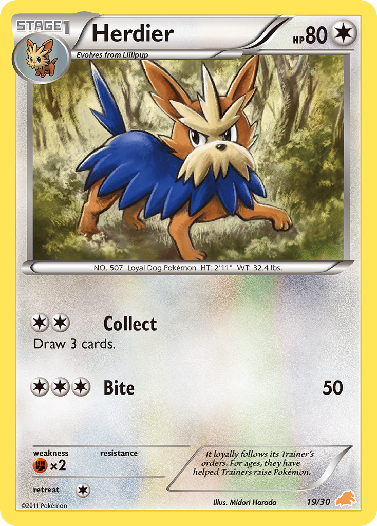 Herdier Black & White Trainer Kit—Excadrill SET-19