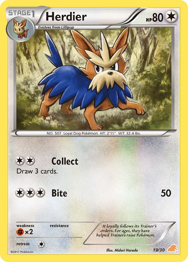 Herdier Black & White Trainer Kit—Excadrill SET-19
