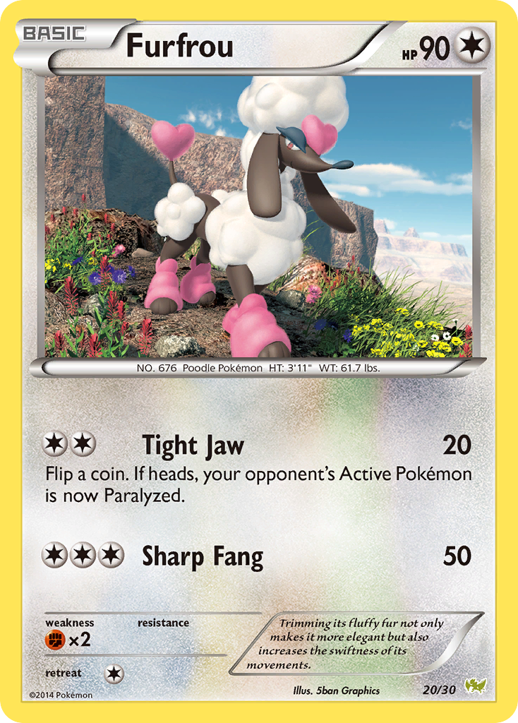 Furfrou XY Trainer Kit—Noivern SET-20