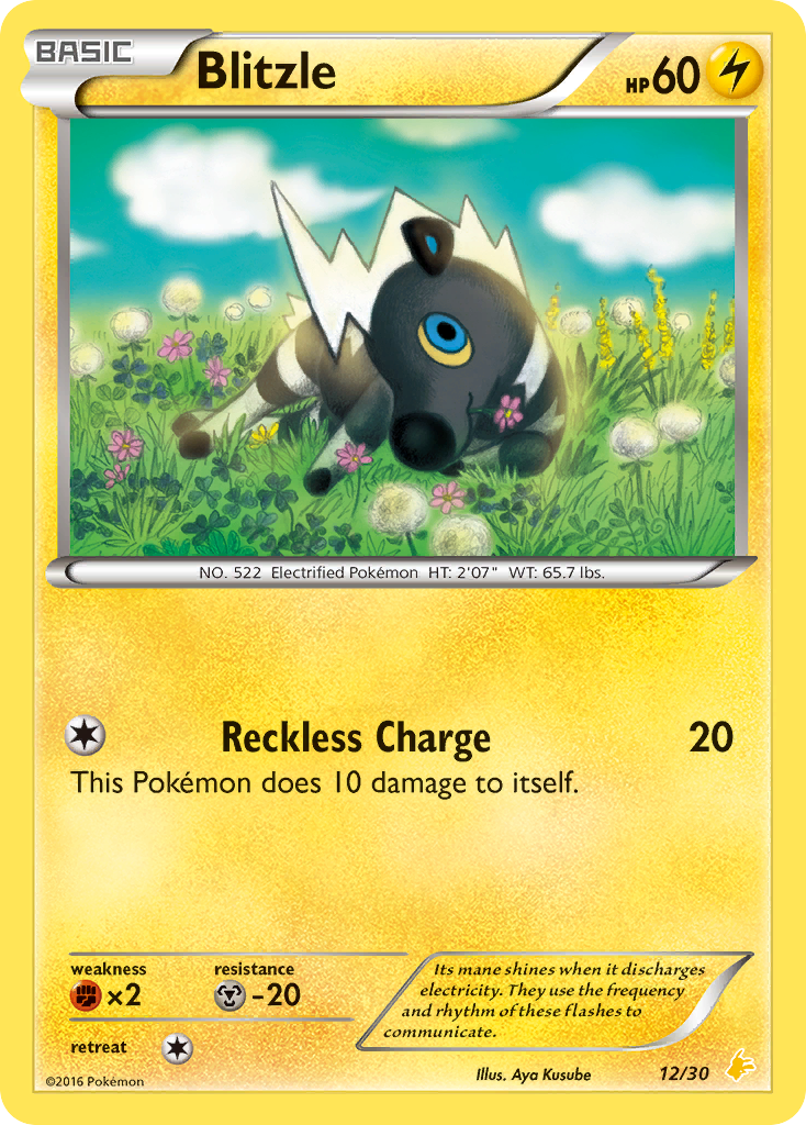 Blitzle XY Trainer Kit—Pikachu Libre SET-12