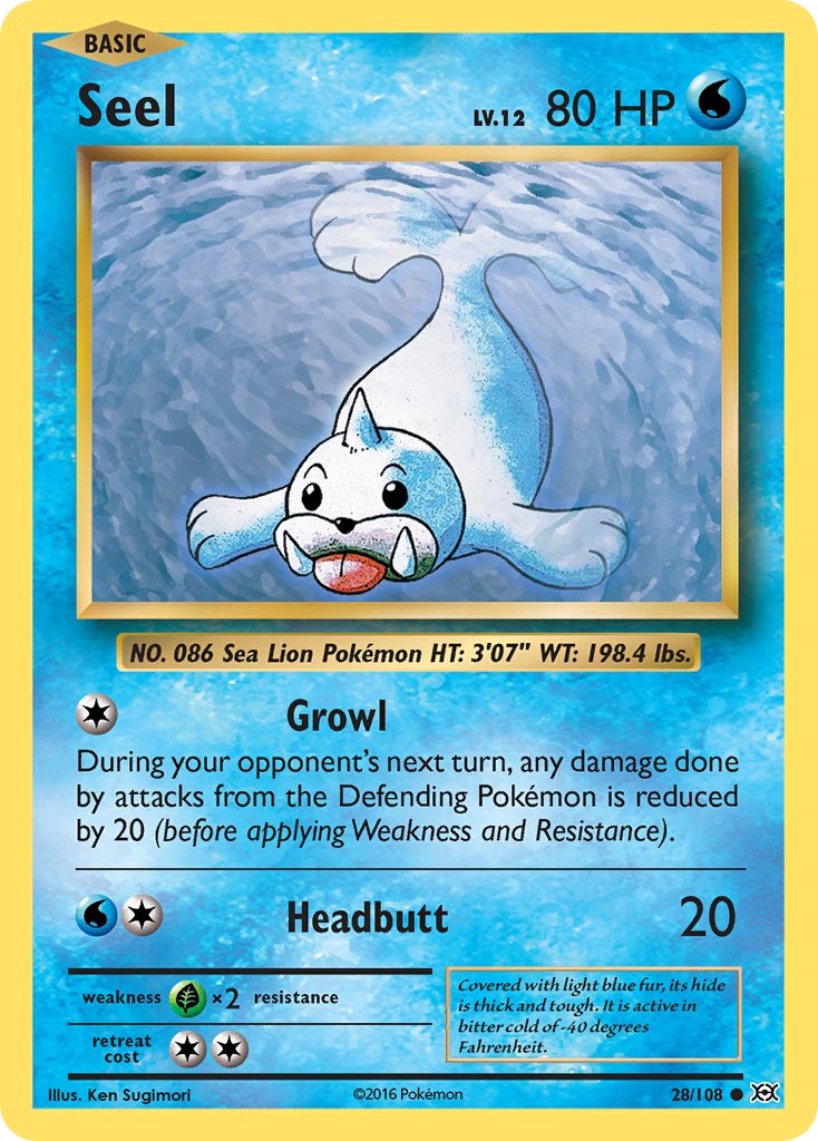 Seel Evolutions SET-28