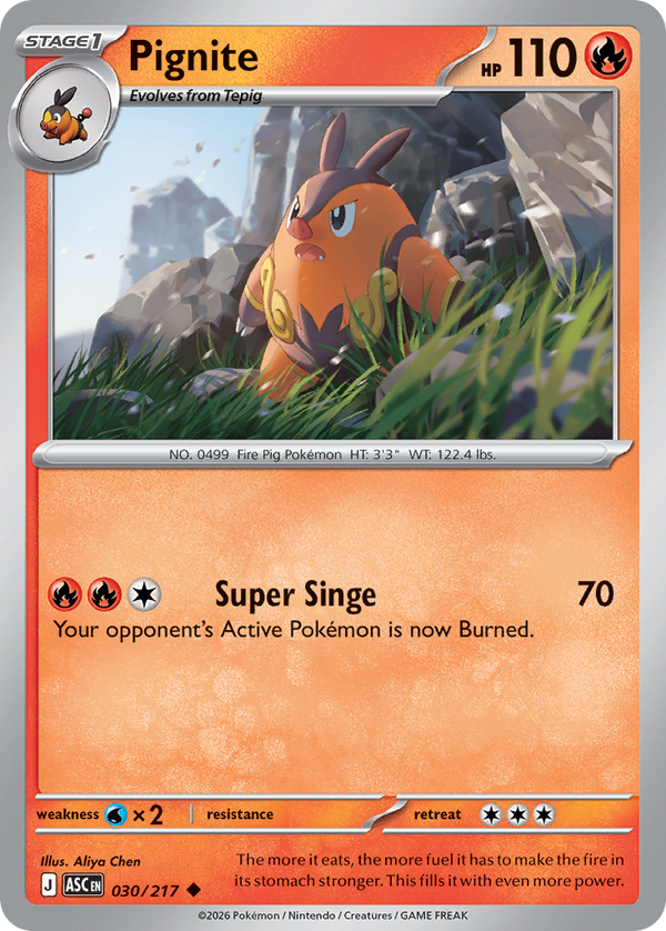 Pignite - Ascended Heroes SET-30