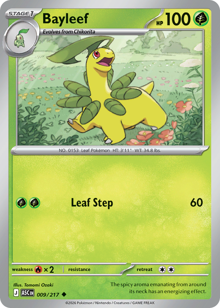 Bayleef - Ascended Heroes SET-9