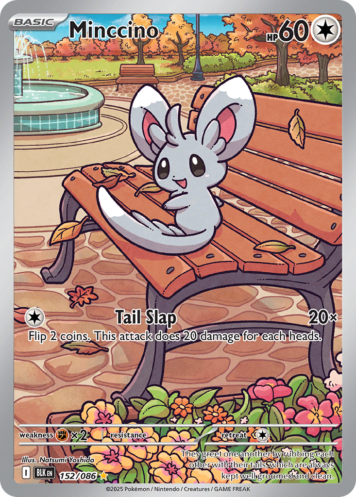 Minccino Black Bolt SET-152