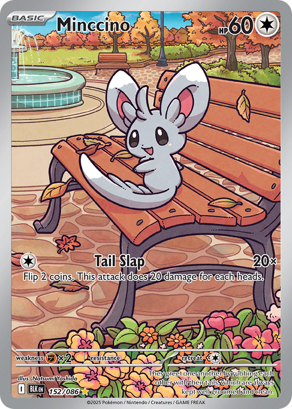Minccino Black Bolt SET-152